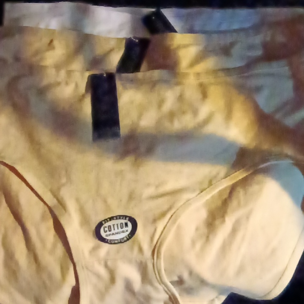 Mamia 3X 3-Pack panties: 2 nude/1 white NWT